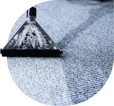 Local Professional Carpet Cleaning