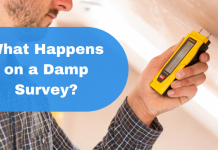 What Happens on a Damp Survey