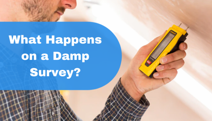 What Happens on a Damp Survey