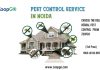 Best Pest Control service in Noida
