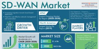 SD-WAN Market Segmentation Analysis Report