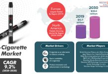 E-Cigarette Market Segmentation Analysis Report