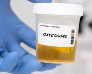 How to Buy Oxycodone Online