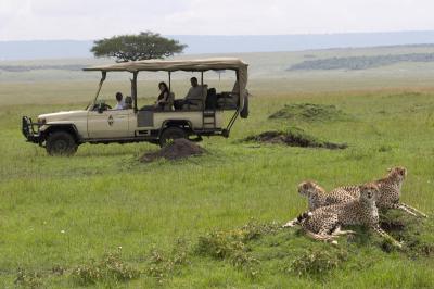 Masai Mara Luxury Safari